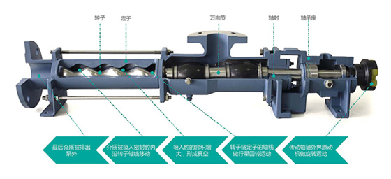 单螺杆泵结构图